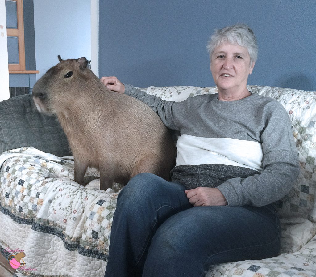 Woman and capybara sitting on a couch