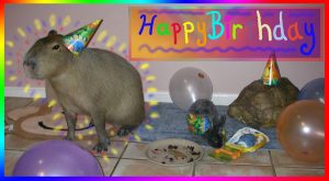 My 1st birthday with my co-pets.