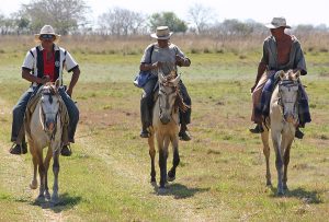 Three Venezuelan llaneros