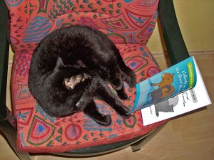Does Martin's cat know that she looks just like Celeste?